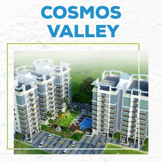 Cosmos Valley